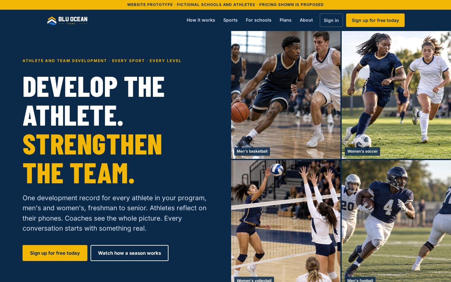 Blu Ocean Teams website home page