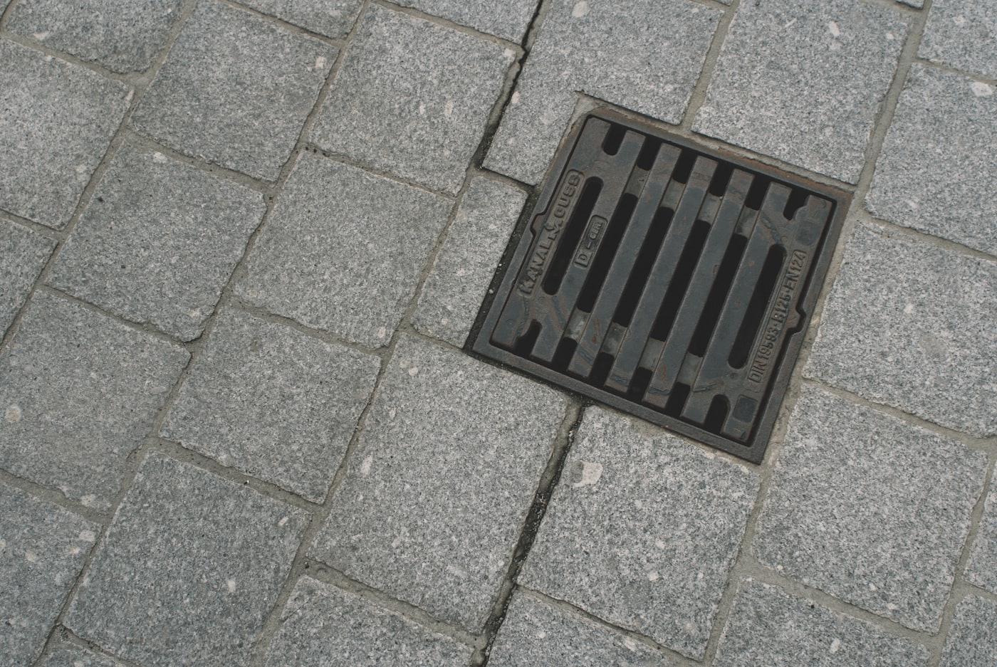 Cast-iron drain grate set in a paved surface